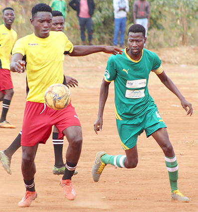Freedom Birds narrowly beat United Artists