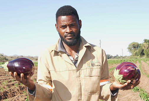 Qualified plumber now a successful farmer