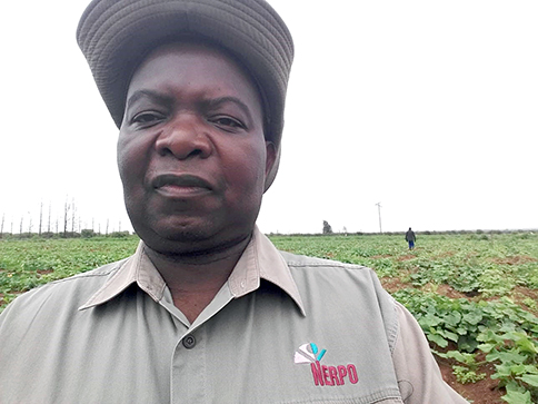 Local farmers happy after recent rainfall.