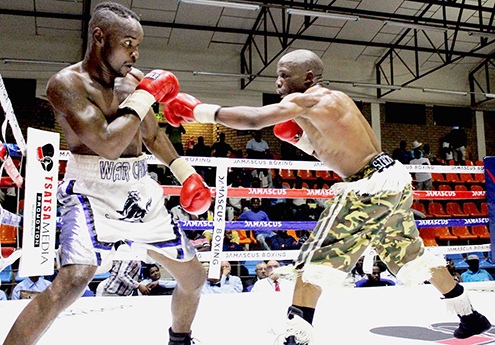 Boxers gear up for professional tournament