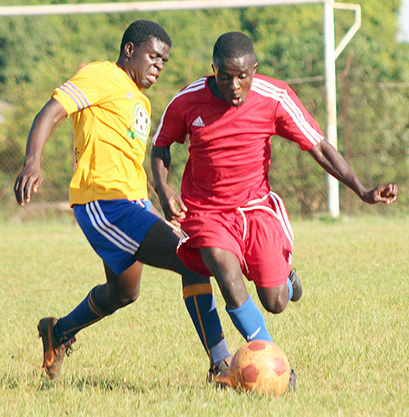 Stars and Happy Boys in thrilling draw