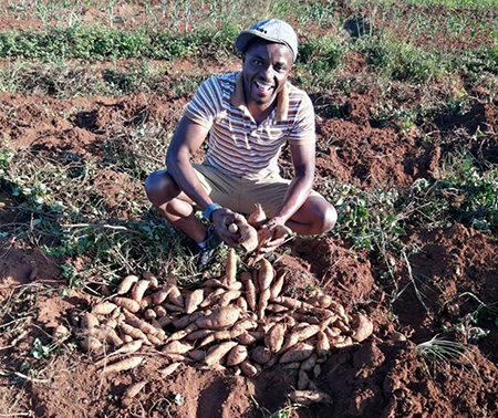 Paul's ideas thrive in farming