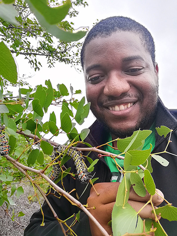 Sekonya pursues a study of mopani worms