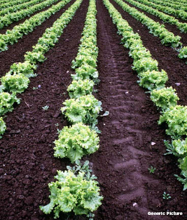 Can you assist smallholder and communal farmers?