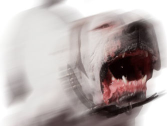 Department confirms case of rabies in Louis Trichardt