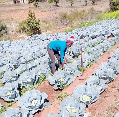 Female farmer urges women to also embrace farming