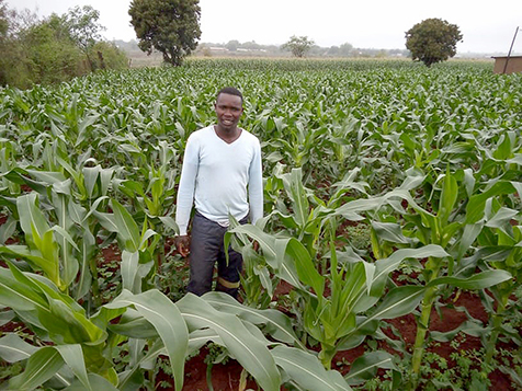 Farming also puts food on young people's tables
