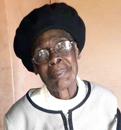 One of Musina's big trees falls away after 90 years