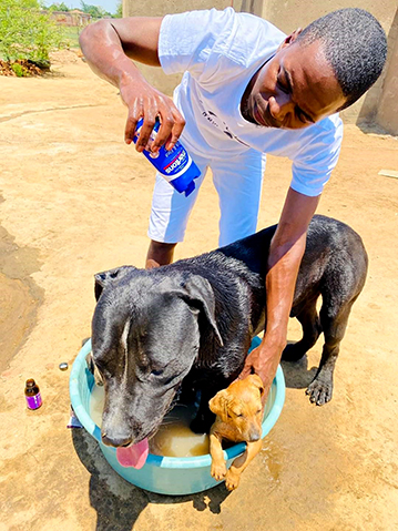 It's a life of luxury for Madadzhe's dogs