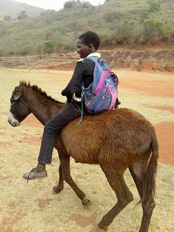 Faranani's donkey replaced with new bicycle