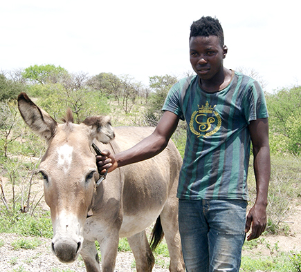 This is true donkey love