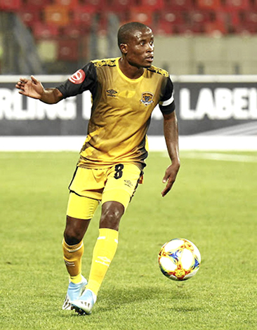 Can Swallows fly over Black Leopards?