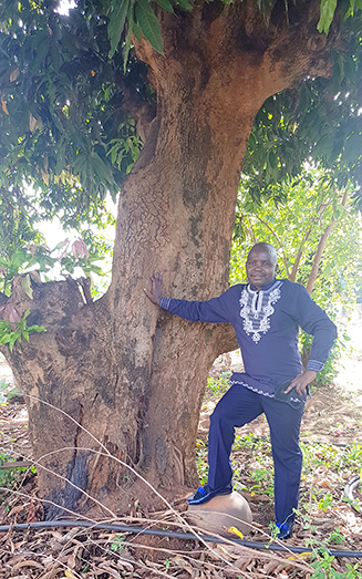 Century-old mango tree is part of family's heritage