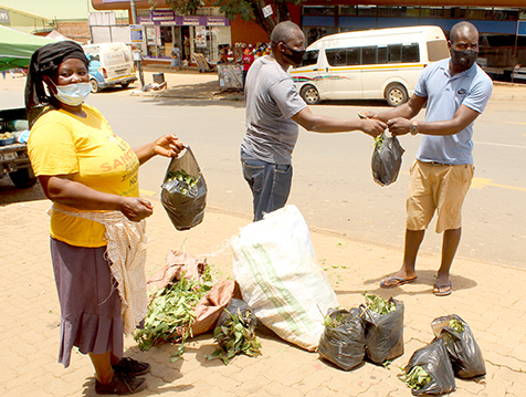 MEC concerned about indigenous herb steaming as cure for Covid