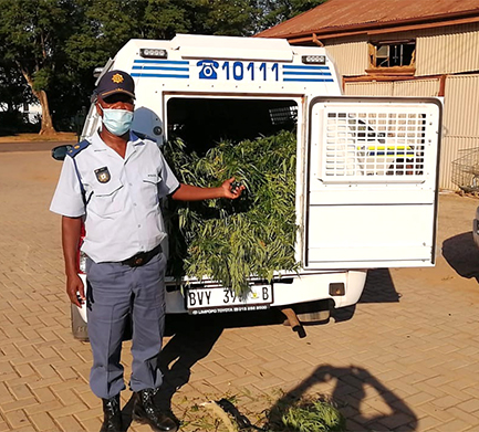 Almost 1 800 suspects arrested in joint clean-up operations