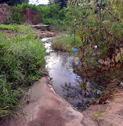 Musina residents call on province to intervene and restore services