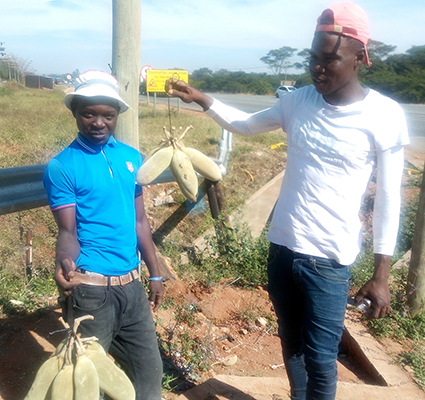 Grade 9 learner becomes hawker during spare time to earn an income