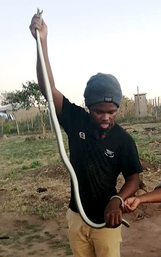 Vleifontein's own 'snake catcher' wants to preserve these reptiles