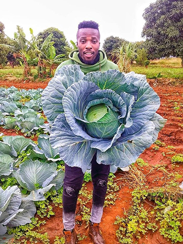 Fresh, leafy harvest despite harsh weather
