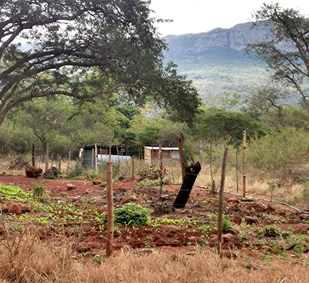 Kranspoort has a long history of injustices