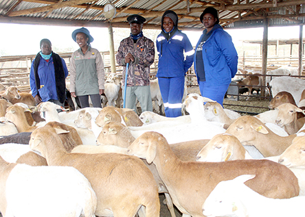 Women encouraged to pursue career in farming