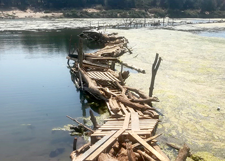 Crocs stop cops from destroying 'Zalawi' bridge