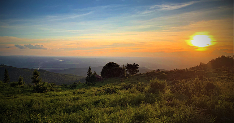 Process starts to declare Soutpansberg a nature reserve