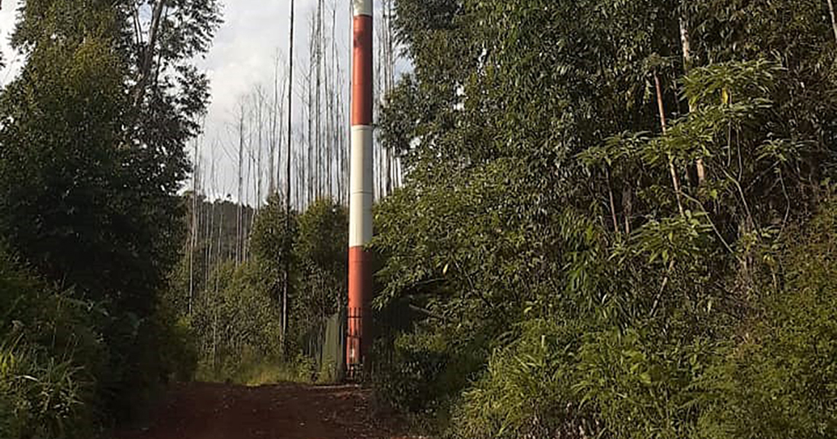 Man plunges to his death from cellphone tower