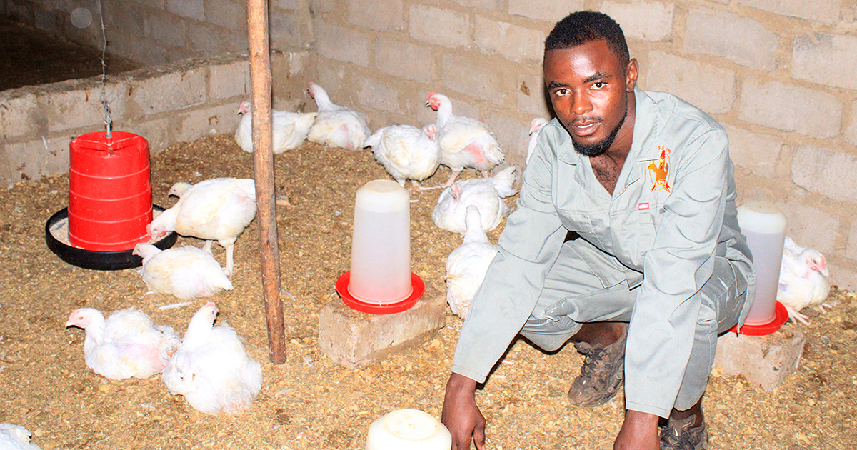Two young farmers join hands to fight poverty