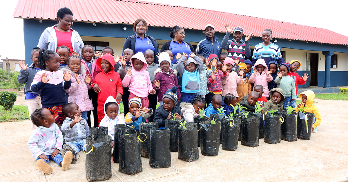 A baobab garden for small school at Ha-Mashamba