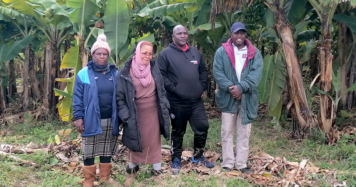 Masakona CPA slowly reaping rewards of partnership with Vumelana