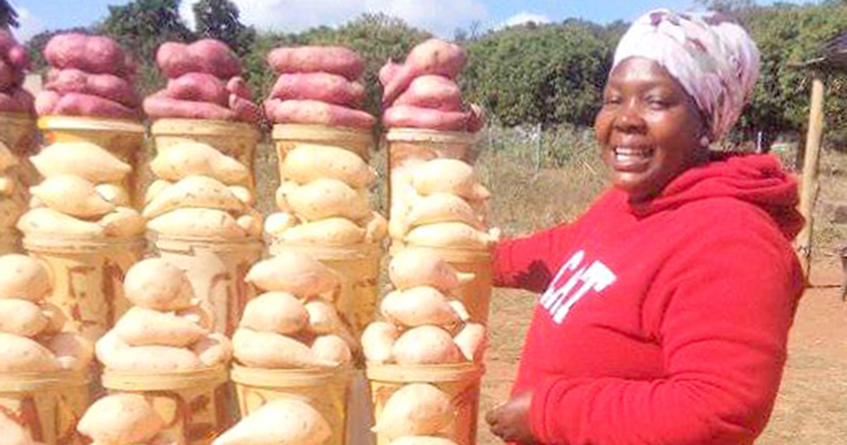 When life gives you lemons ... try sell sweet potatoes