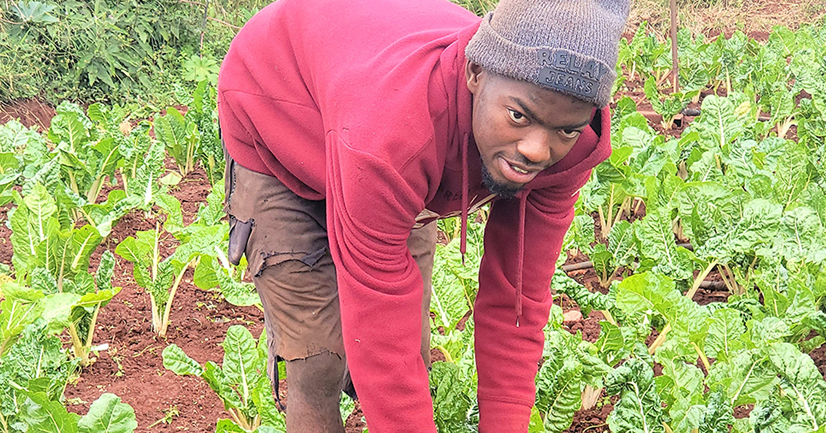 Dumping site turned into profitable garden