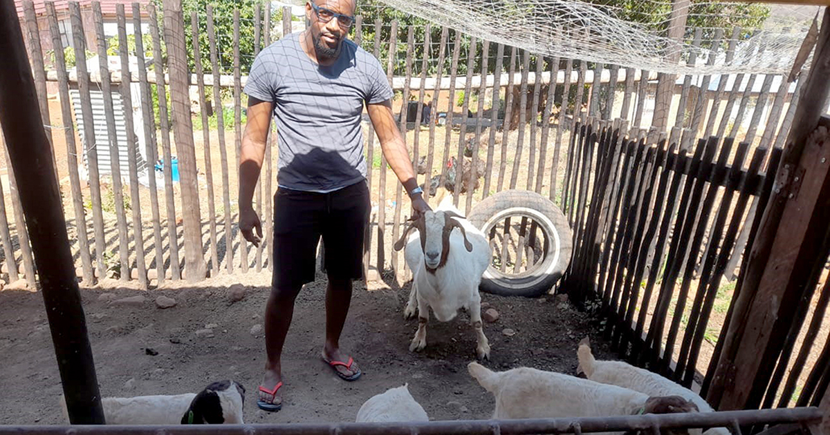 Four kids for Mandiwana's goat