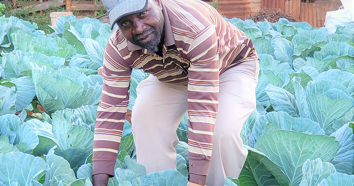 Even after retirement your must keep you mind busy, says Dzebu