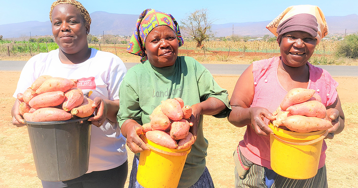 You can start small and grow to be a successful farmer