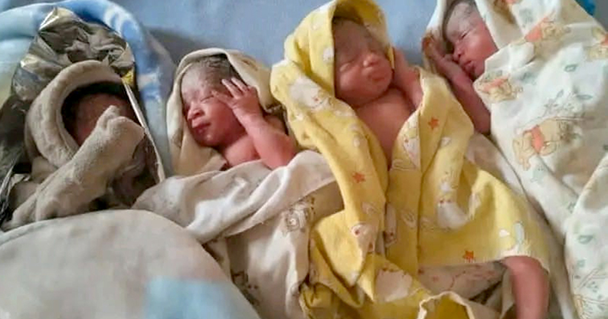 Quadruplets take tally to 12