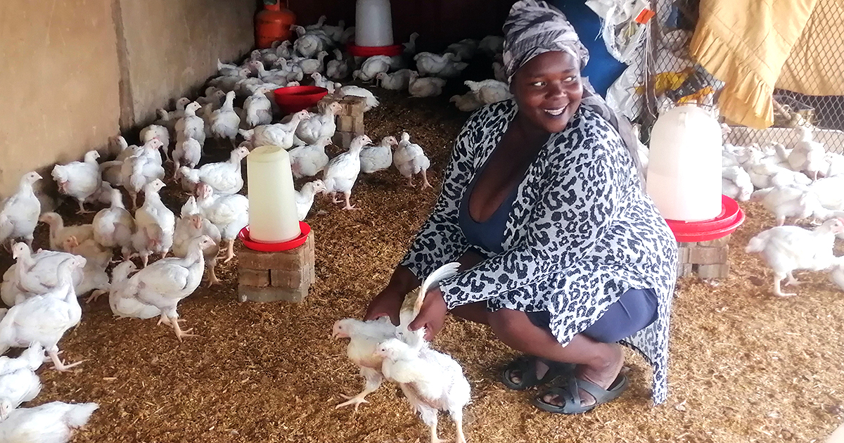 Informal traders gearing up for the festive season
