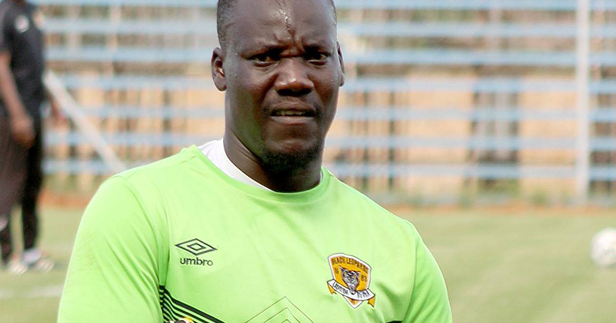 Black Leopards prepare to maul Cape Town Spurs