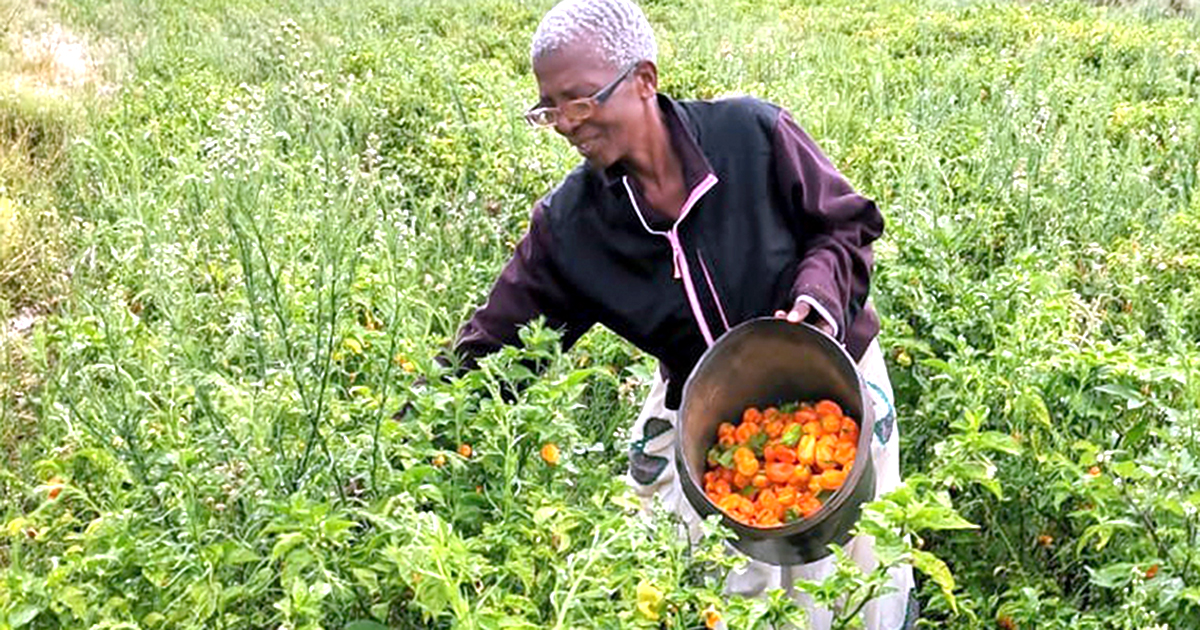 It's never too late for women to gain their independence