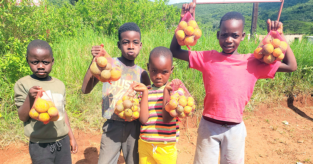 Shadani boys make pocket money from the fruit of the mountains