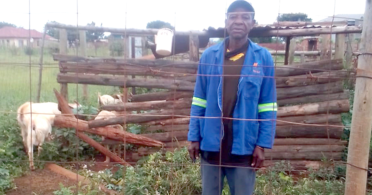 Kutama farmers worried about increase in stock theft