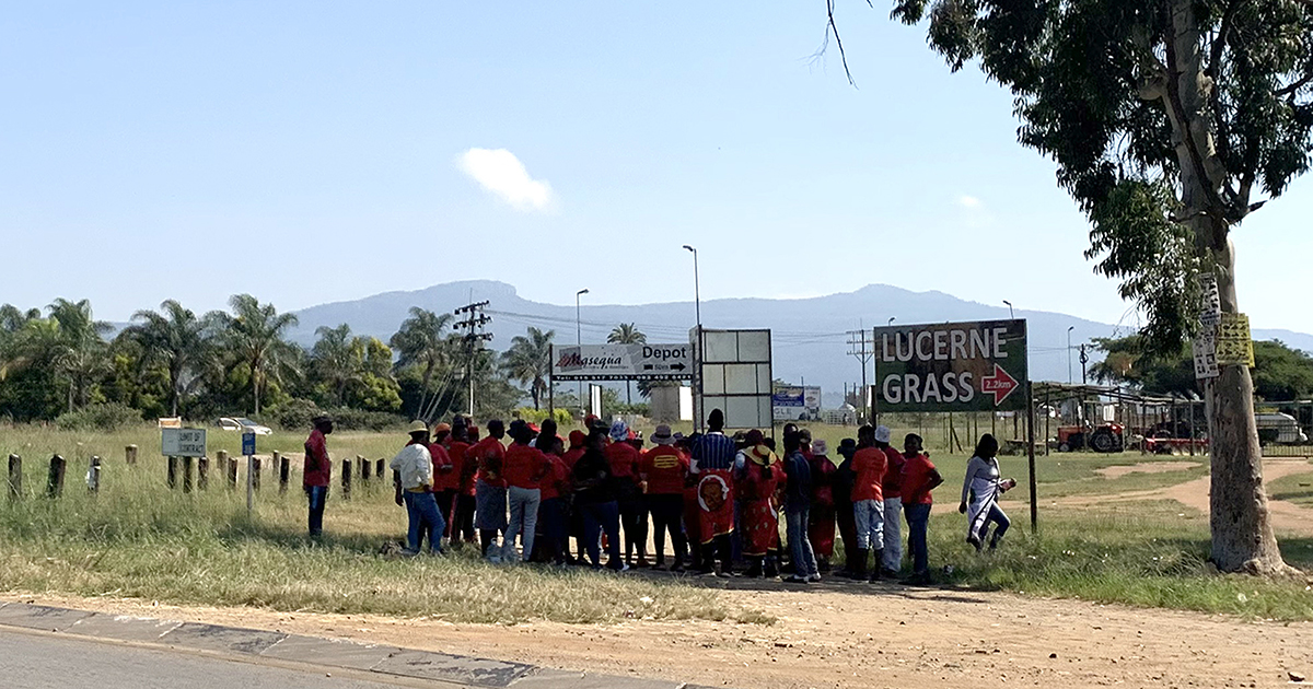 Vhembe simmers along in spite of EFF's call for national shutdown