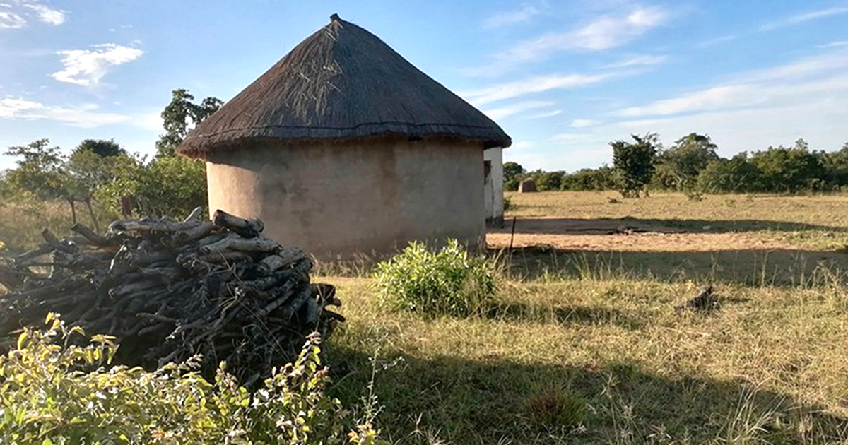 I left Zimbabwe to live in South Africa. I want to go back, but it is not easy