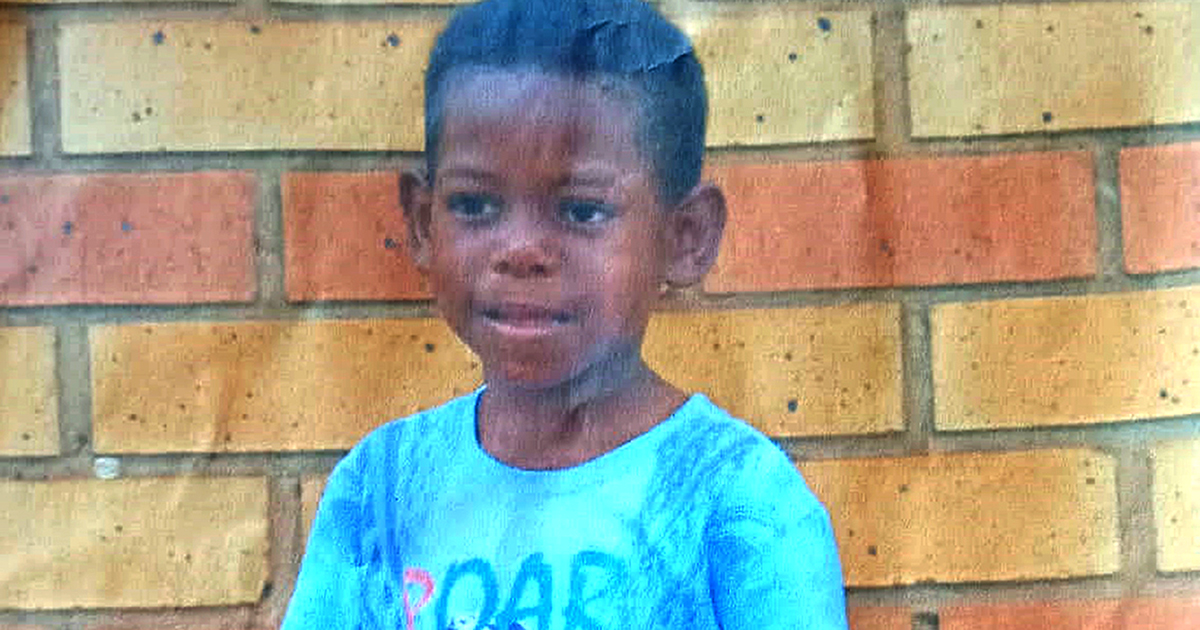 Boy (7) disappears while herding cattle