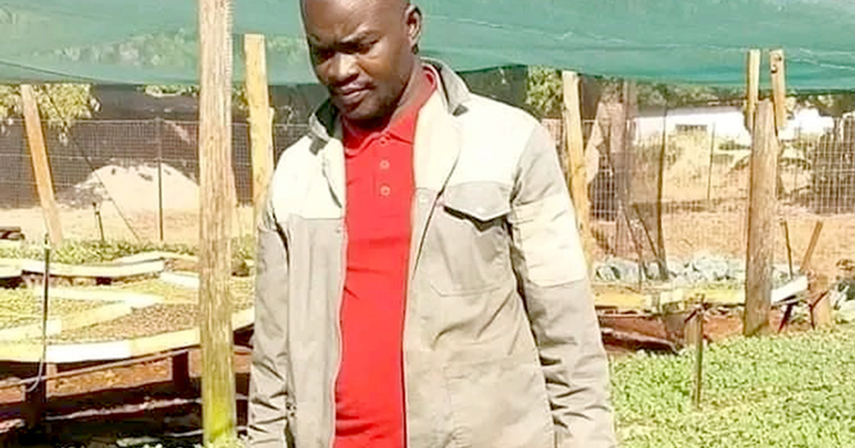 Tshisevhe's nursery business is blooming, and so is he