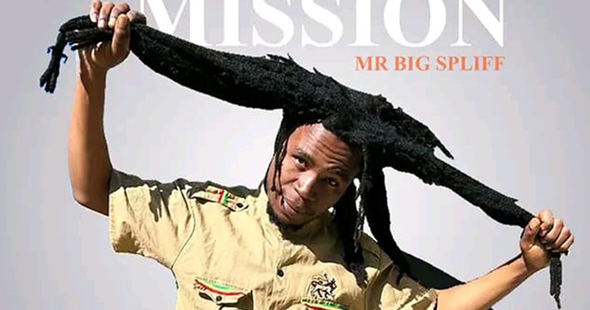 'Change the system' - Mr Big Spliff