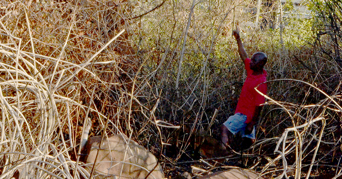Alleged gangster found hanging from a tree at Ha-Magidi