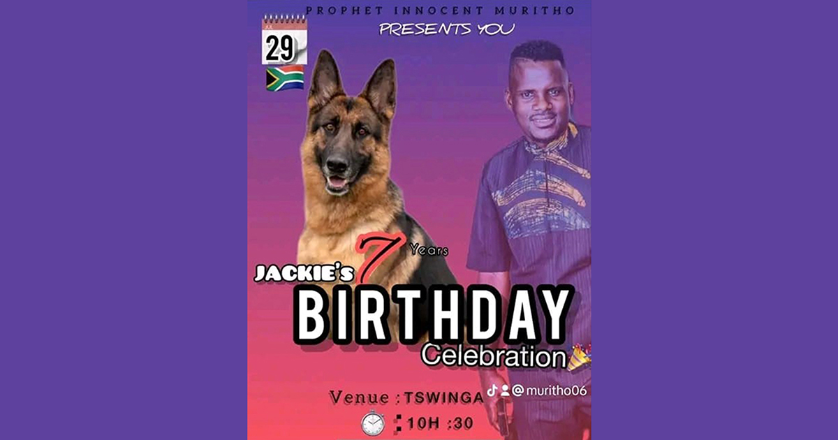 Vhafunzi Vho-Muritho vho fara bembela ḽihulu ḽa mmbwa yavho.