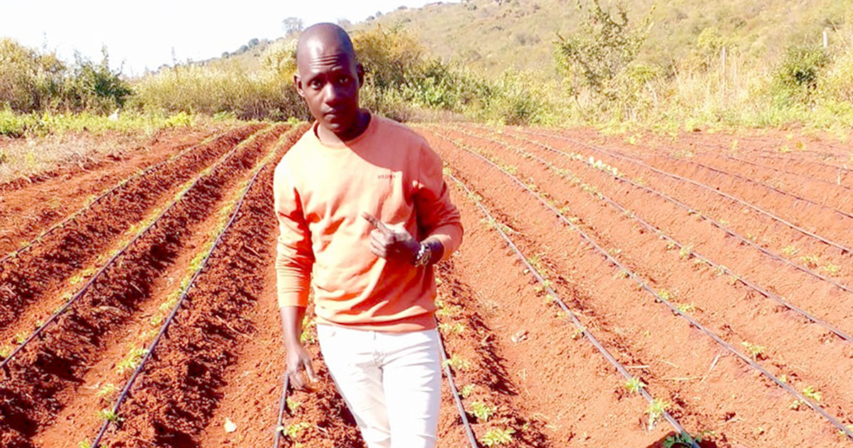 Mulimi Takalani o ṱutshela nḓila dzawe dza kale.